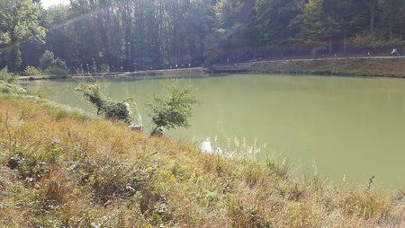 20151003_135351.jpg