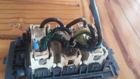 20151007_133835.jpg