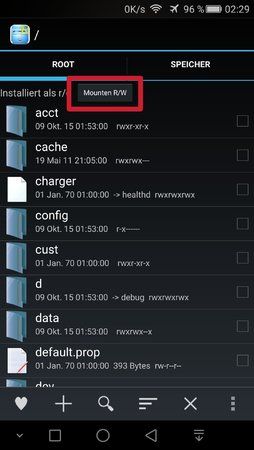 root.jpg