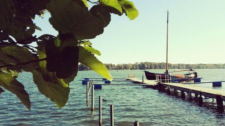 IMG_20151011_165730.jpg