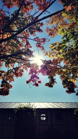 IMG_20151011_170012.jpg