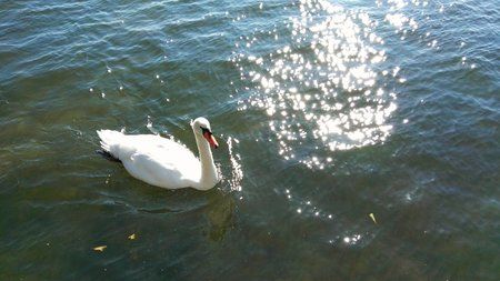 IMG_20151011_170420.jpg