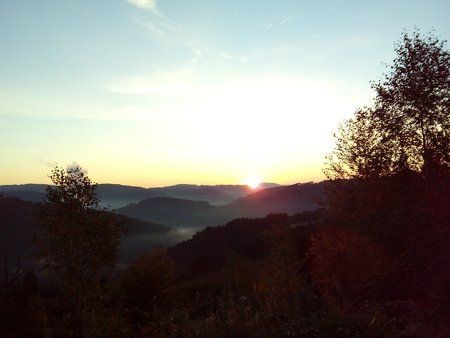 IMG_20151012_075252.jpg
