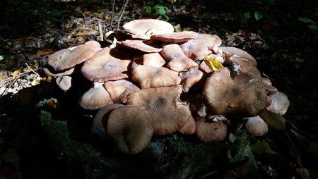 20151011_132153.jpg