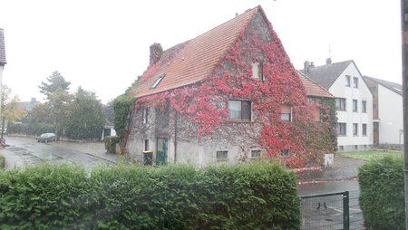 2015-10-14 11.13.01.jpg