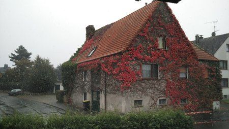 2015-10-14 11.15.42.jpg