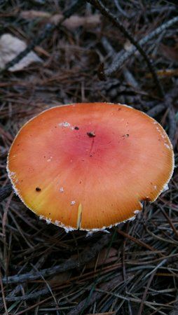20151004_112940.jpg