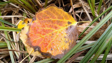 20151016_154641_HDR.jpg