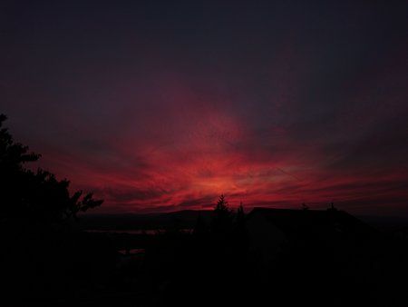 DSC_0373.JPG