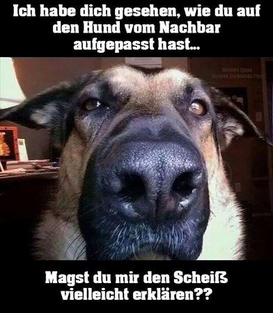 FB_IMG_1445183540005.jpg