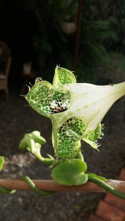 20151019_182551.jpg