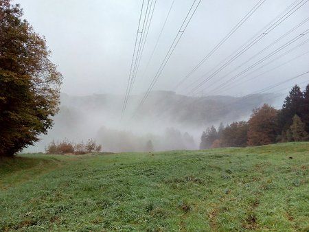 IMG_20151021_081431_1.jpg