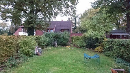 DSC_0031 1.JPG