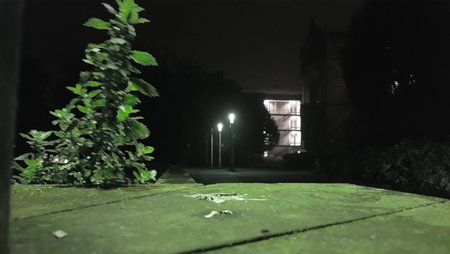 DSC_0017.JPG