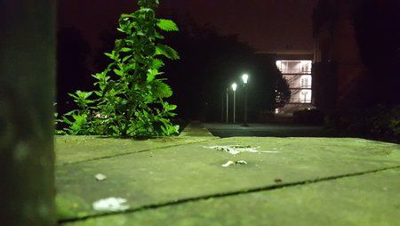 20151020_063928.jpg