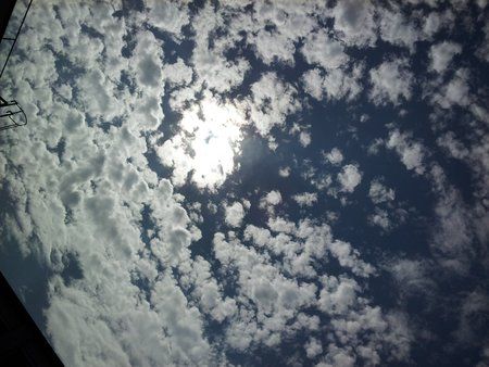 2011-08-12 13.59.00.jpg