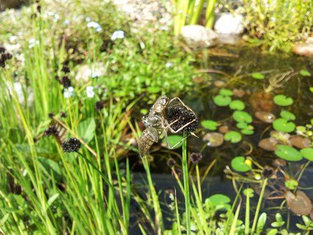 2011-07-16 12.53.23.jpg