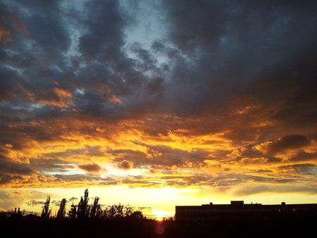 2011-08-08 20.31.02.jpg
