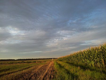 2011-08-11 20.12.08.jpg