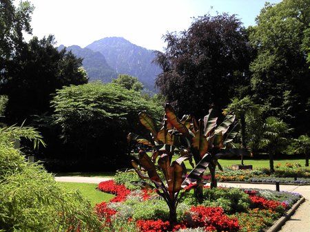 2011-07-10_11-45-36_180.jpg