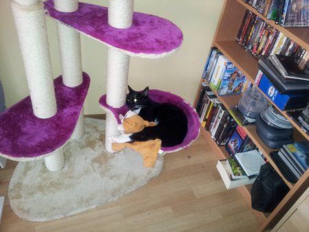 2011-08-13 17.06.54.jpg