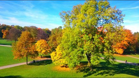 DSC_1159.JPG