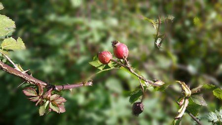 20151024_134409.jpg