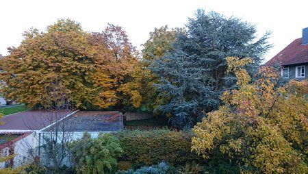 DSC_0049.JPG