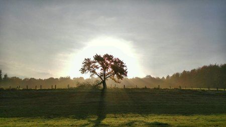 uploadfromtaptalk1446201101136.jpg