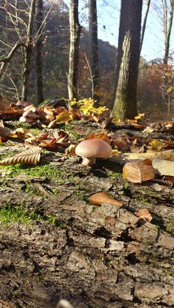 20151101_140920_Richtone(HDR).jpg