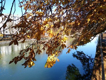 IMG_20151102_125910.jpg