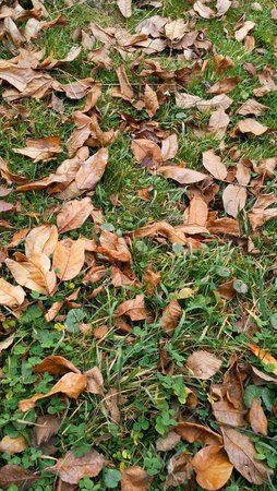 IMG_20151107_141525.jpg