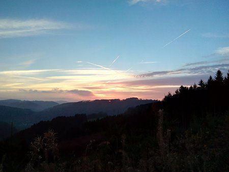 IMG_20151108_074304_1.jpg