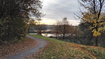 IMG_20151108_161101.jpg