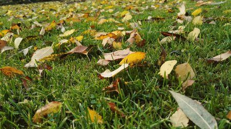 IMG_20151108_144746.jpg