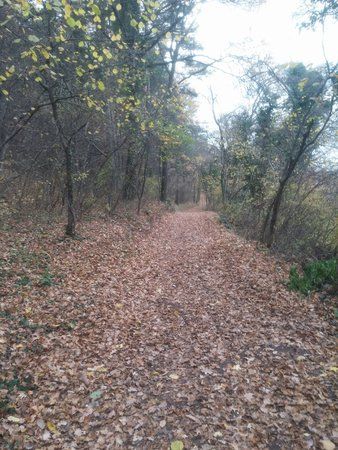 20151109_145928.jpg