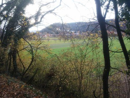 C360_2015-11-09-15-02-20-015.jpg