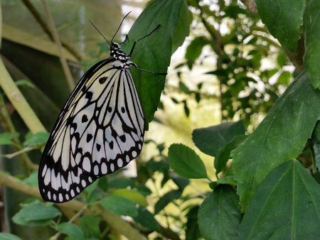 20151107_111743.jpg