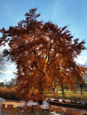 20151107_120547.jpg
