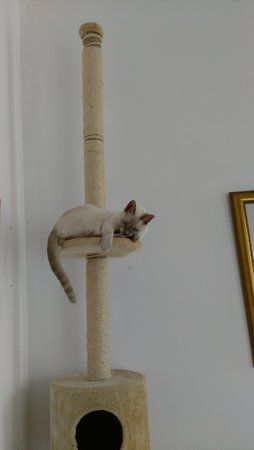 IMAG0202.jpg