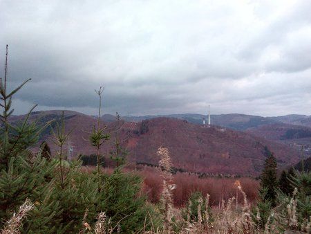 IMG_20151114_074402_1.jpg