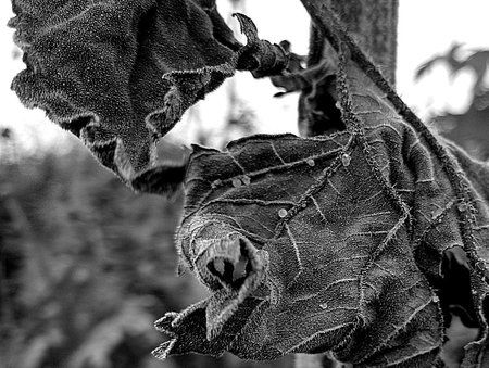 IMG_20151011_175747295_HDR.jpg