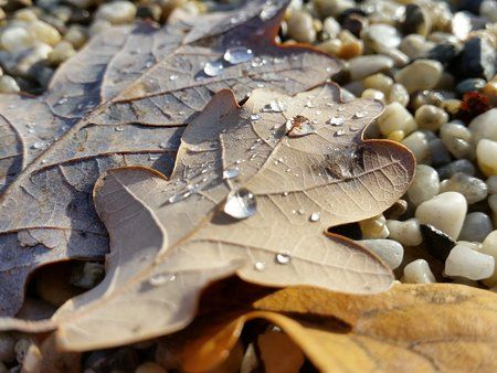 20151114_104136.jpg