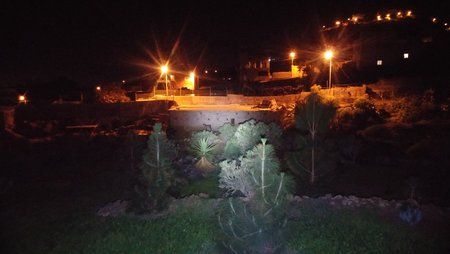 20151118_202844.jpg