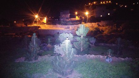20151118_202920.jpg