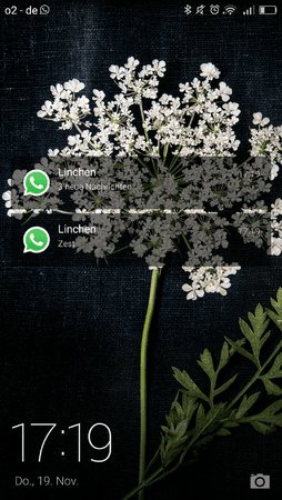 Screenshot_2015-11-19-17-19-14.png