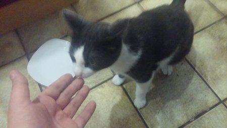 20151121_105800.jpg