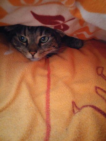 photo_2015-11-21_11-24-59.jpg