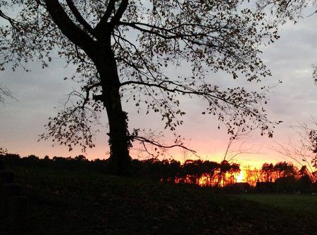2015-11-23 16.44.46.jpg