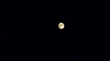 WP_20151124_16_51_09_Pro.jpg